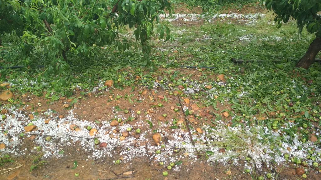 Por segunda semana consecutiva este fenómeno meteorológico vuelve a provocar pérdidas en algunas explotaciones agrarias