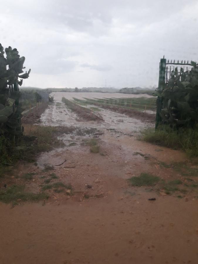 Justo una semana después la localidad pacense ha visto como el arroyo Tripero se volvía a desbordar 