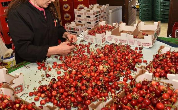 Un simposio tratará en Badajoz del 4 al 7 de junio la maduración y postcosecha hortofrutícola