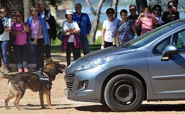 Más de 20 policías locales con perros harán prácticas en Badajoz durante Los Palomos