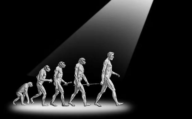 Evolución del hombre iluminada por un foco. 