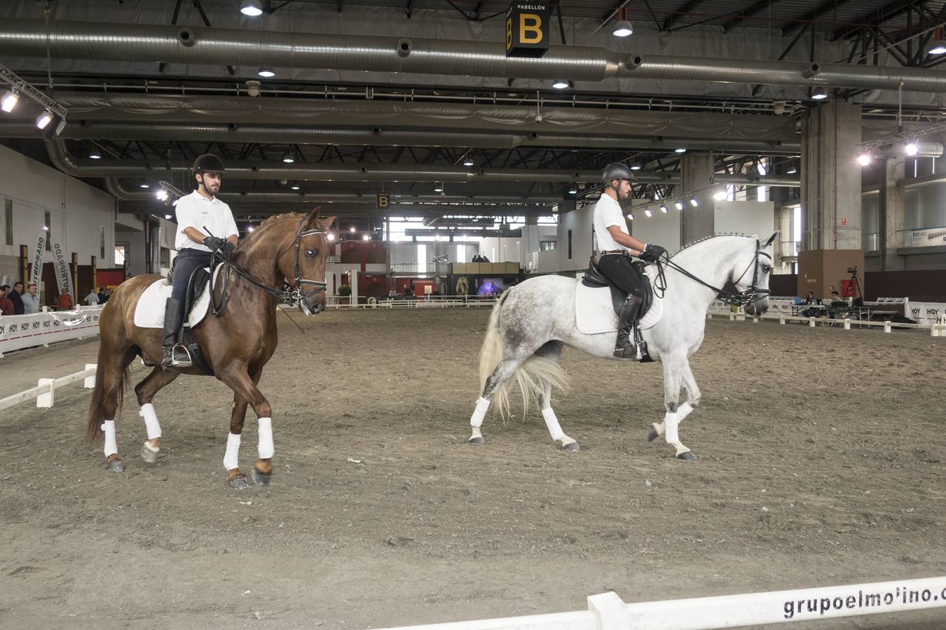 La Feria del Caballo y del Toro de Extremadura (Ecuextre) ha arrancado con el acto de homenaje a Juan Antonio Ruiz 'Espartaco', que es el protagonista de esta décima edición, la cual incluye una muestra del torero de Espartinas que exhibe distintos objetivos vinculados con su trayectoria.