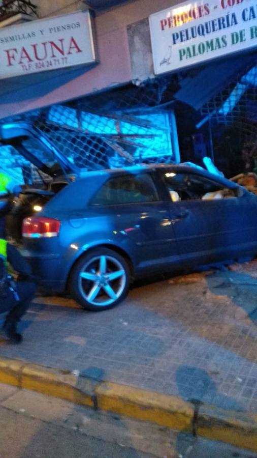 Fotos: Un coche se empotra contra una tienda de animales en San Roque
