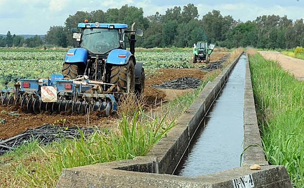 Dos tractores en una parcela de Las Vegas Bajas del Guadiana