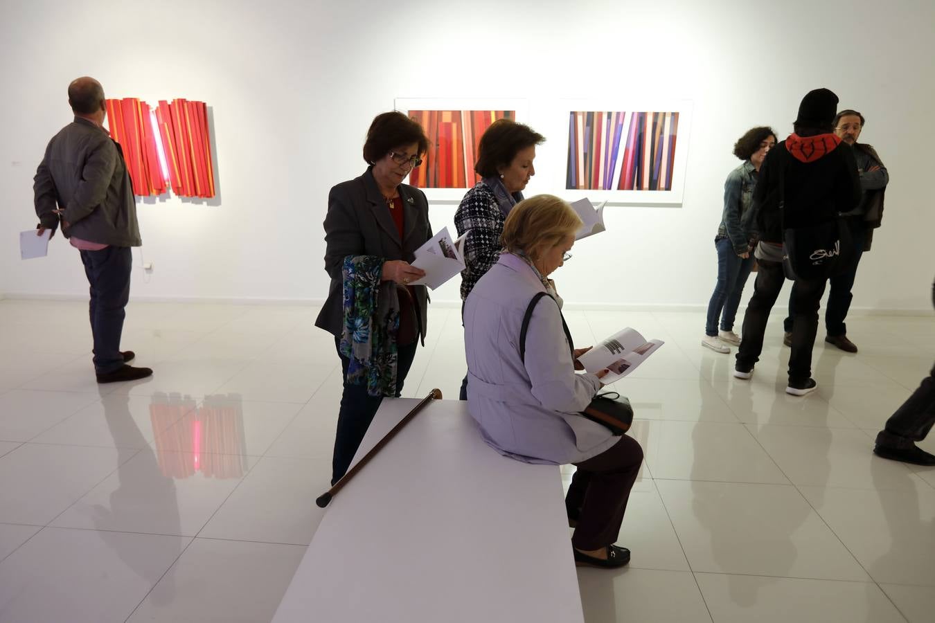La sala de arte El Brocense, de la Diputación, en la calle San Antón, ofrece la exposición 'Abstracción y algo más', de la artista Arancha Goyeneche (Santander, 1967), licencia en Bellas Artes por la Universidad del País Vasco. Se podrá ver durante los meses de junio y julio