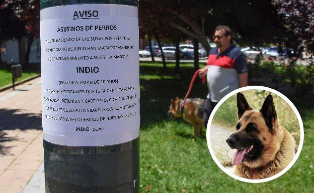 A la izquierda, la foto de Indio, el último perro envenenado. Arriba, los carteles de advertencia que han colocado sus dueños en Valdepasillas.