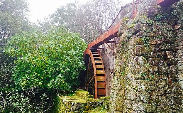 Molino de aceite, que se respetará. :: 