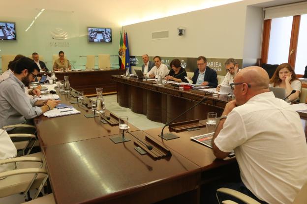 Imagen de la comisión celebrada ayer en la Asamblea. :: j. m. romero