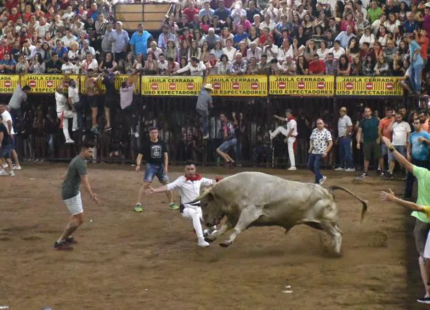 Vieiro puso en apuros a los recortadores que le esperaban en la plaza de toros. :: Karpint