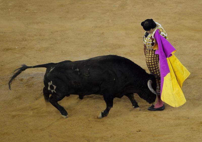 Dos faenas bellísimas del torero de Galapagar, exquisito con el capote, y tarde desatada de Miguel Ángel, que provoca el indulto de un nobilísimo toro de Jnadilla en Algeciras