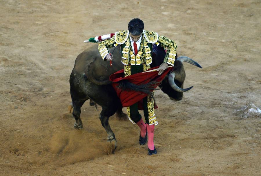 Dos faenas bellísimas del torero de Galapagar, exquisito con el capote, y tarde desatada de Miguel Ángel, que provoca el indulto de un nobilísimo toro de Jnadilla en Algeciras