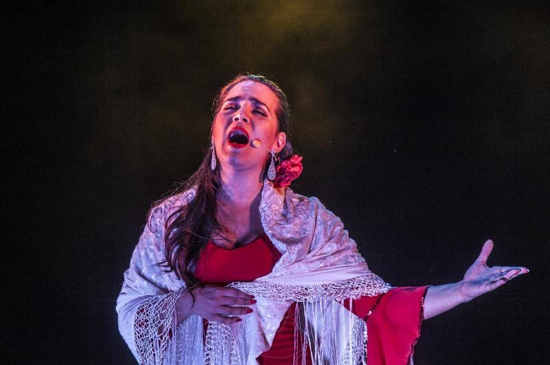 Fotos: Mariza y &#039;Flamencronía&#039;, en el Festival de Flamenco y Fado de Badajoz