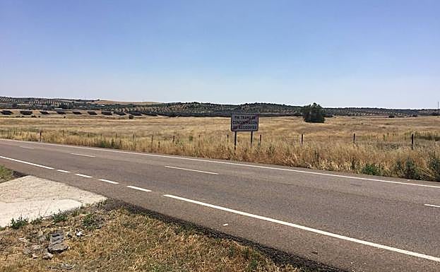 Suelo industrial del polígono de Alconera, zona elegida para el matadero de ibérico por la empresa. :: HOY