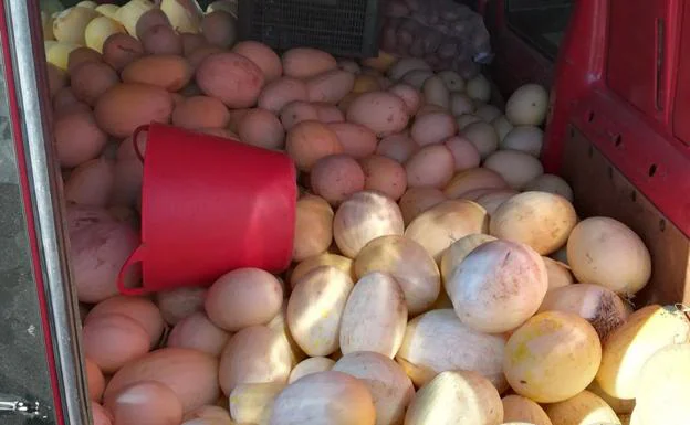 Imagen de archivo de melones intervenidos por la Guardia Civil en 2017