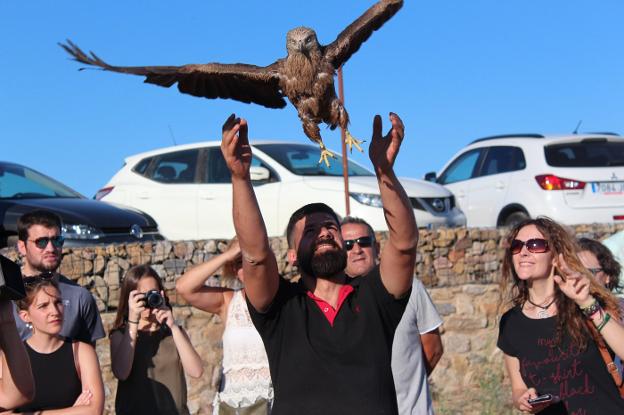 Momento de la suelta ayer de una de las rapaces recuperadas. :: amus