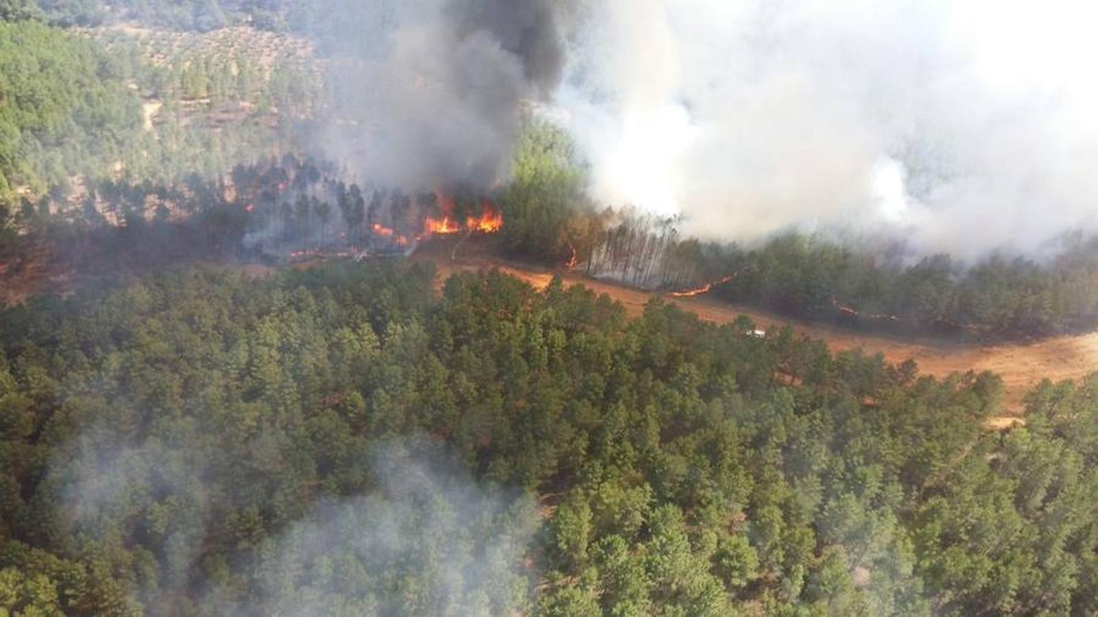 Fotos: Imágenes del incendio originado en una zona de pinar en Valverde del Fresno