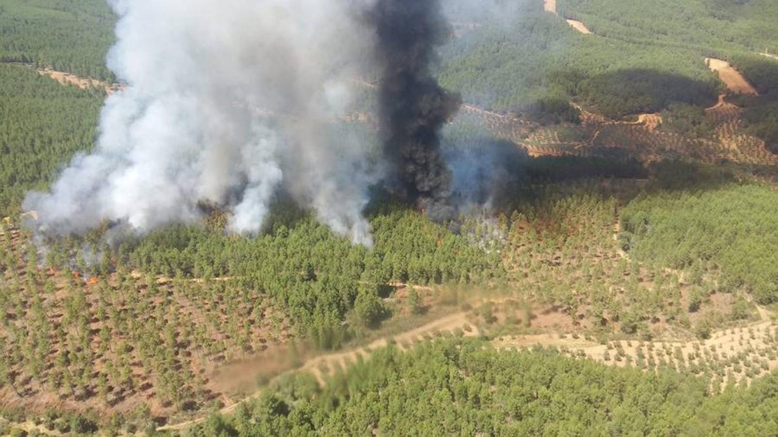 Fotos: Imágenes del incendio originado en una zona de pinar en Valverde del Fresno