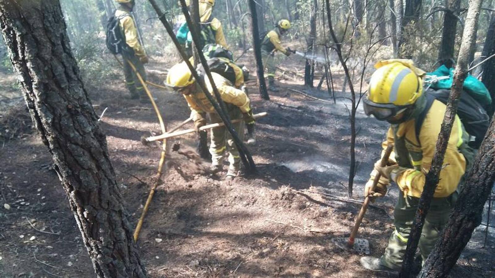 Fotos: Imágenes del incendio originado en una zona de pinar en Valverde del Fresno