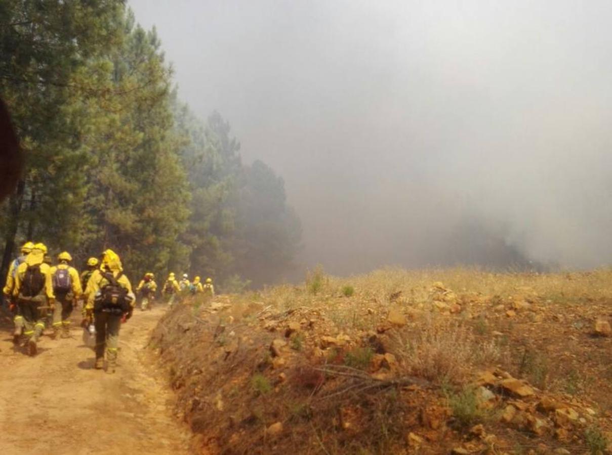 Fotos: Imágenes del incendio originado en una zona de pinar en Valverde del Fresno