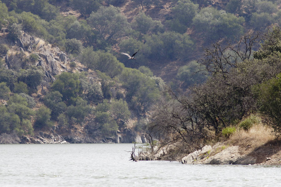 El nuevo tramo navegable permite mirar el Salto del Gitano desde una perspectiva hasta ahora inédita
