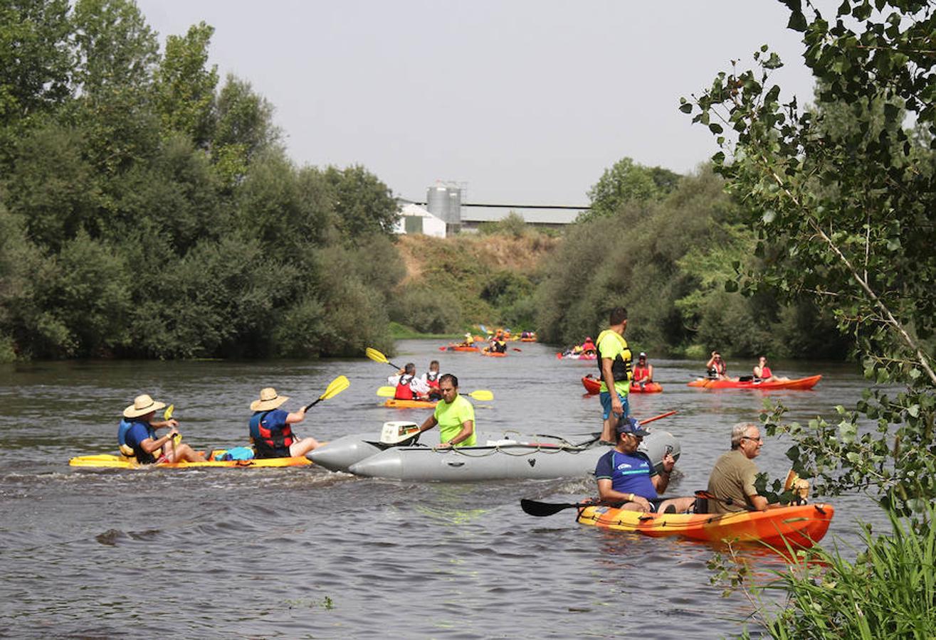 Recorrieron casi 19 kilómetros  entre el puente de la Macarrona de Riolobos y el de Hierro de Coria