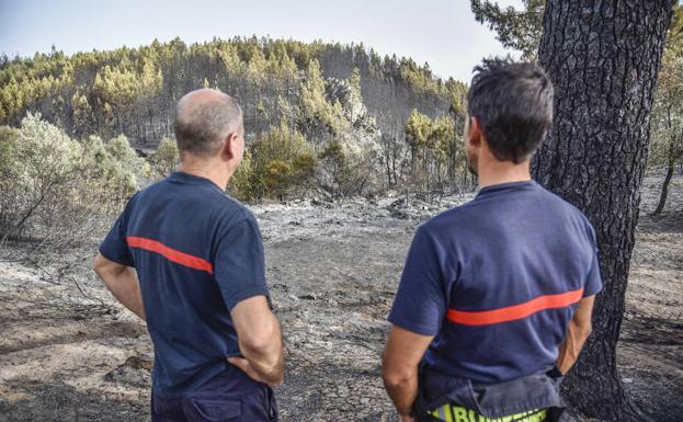 Dos bomberos contemplan parte de la superficie quemada El Mayadil