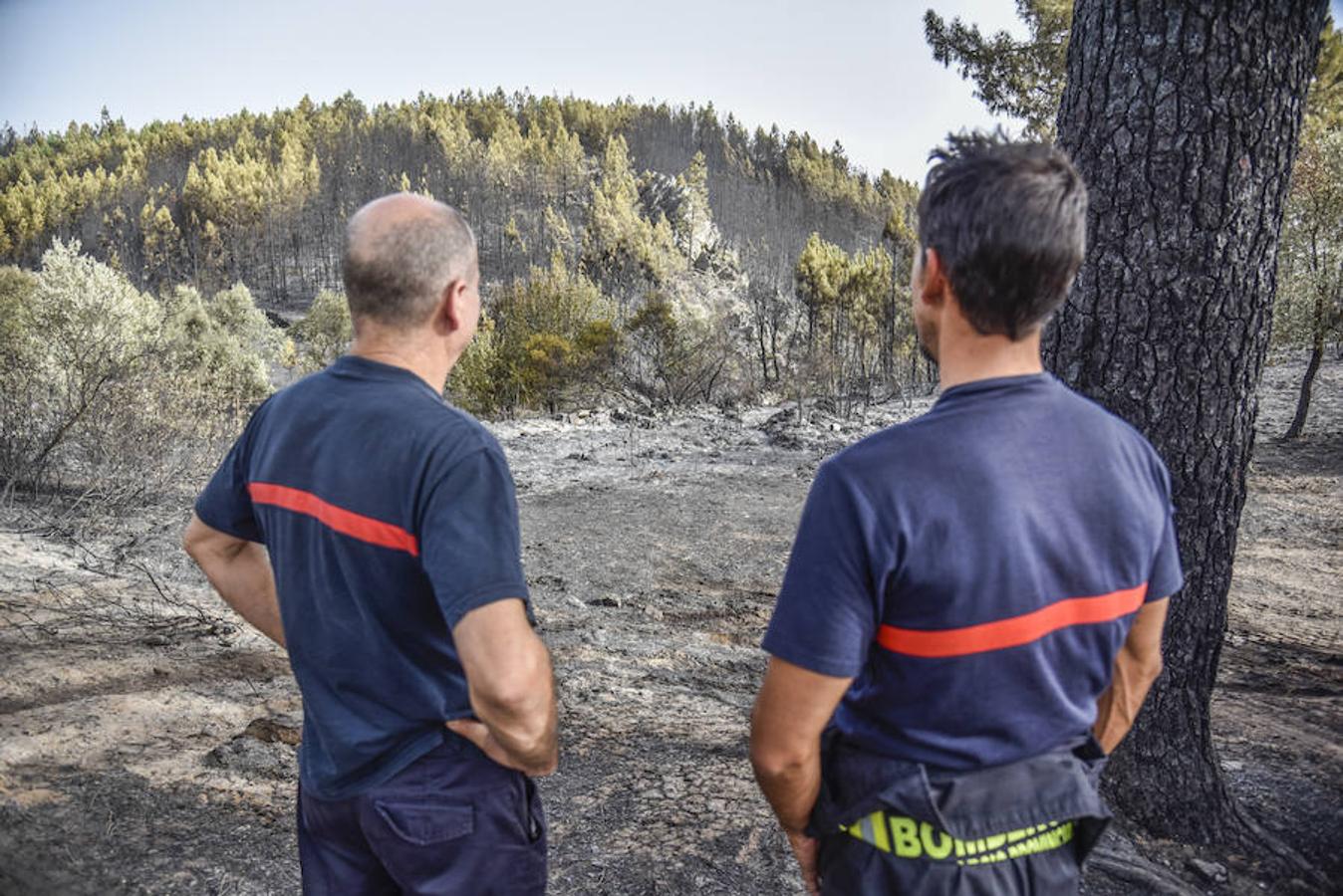 El fuego, el peor del verano en Extremadura, calcinó parte del Valle de Jola y quedó controlado ayer a última hora