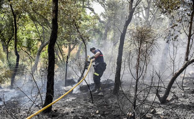 Un bombero de la Diputación, que completó el dispositivo del Infoex y sus bomberos forestales, refresca la zona quemada . :: 