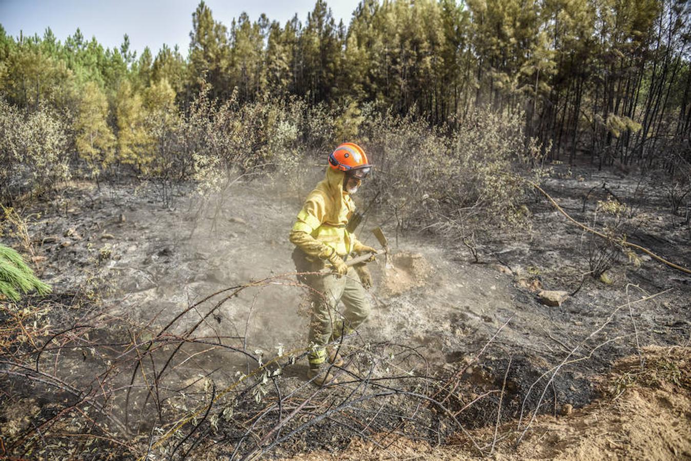 El fuego, el peor del verano en Extremadura, calcinó parte del Valle de Jola y quedó controlado ayer a última hora