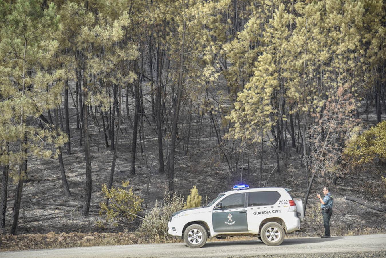 El fuego, el peor del verano en Extremadura, calcinó parte del Valle de Jola y quedó controlado ayer a última hora