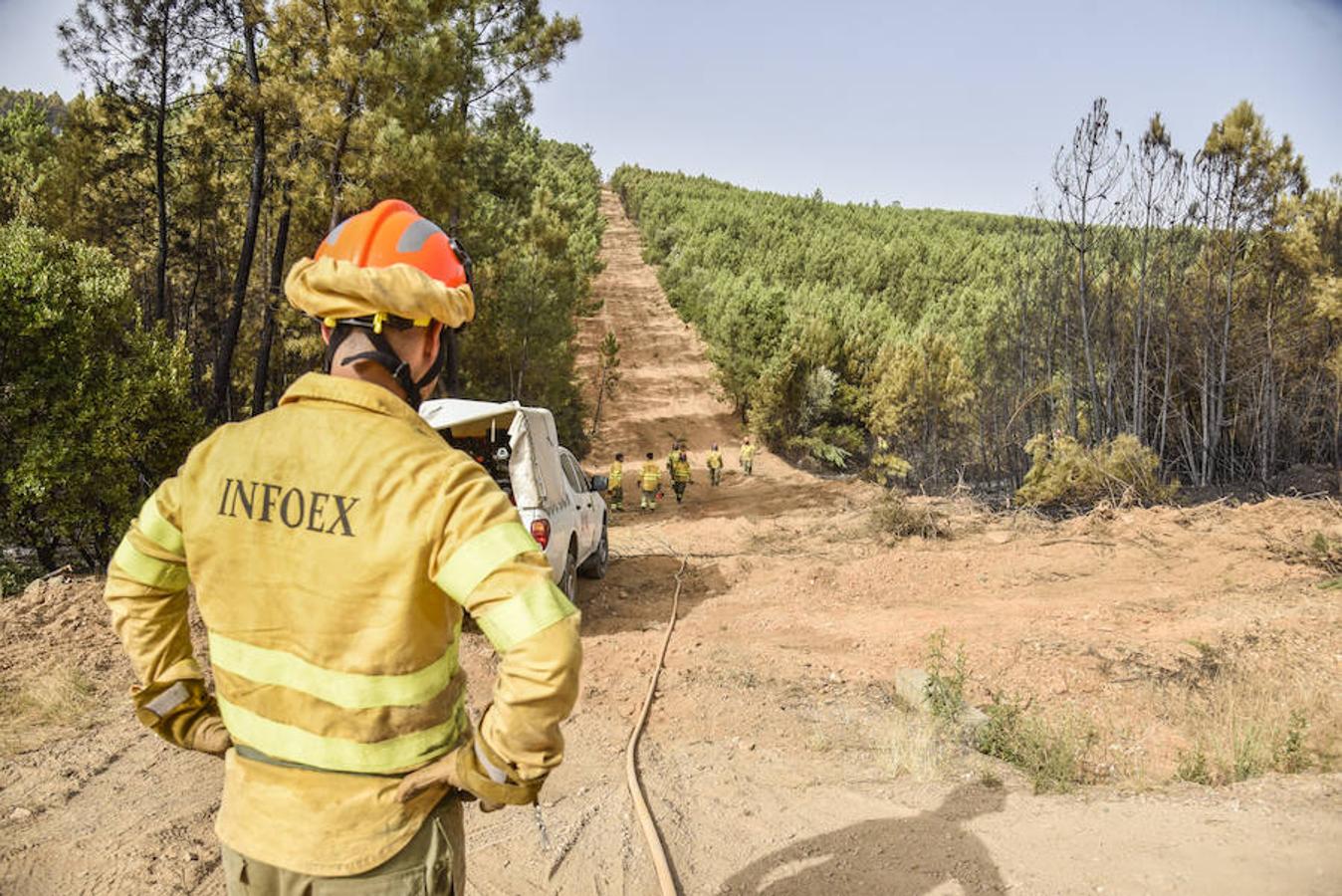 El fuego, el peor del verano en Extremadura, calcinó parte del Valle de Jola y quedó controlado ayer a última hora