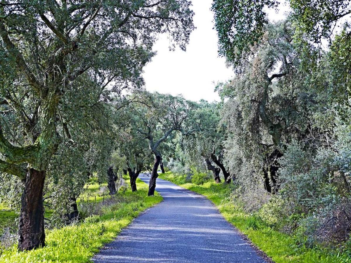 Carretera de acceso.