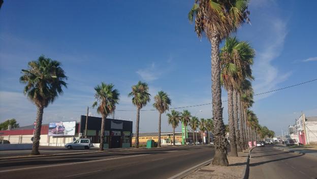 Uno de ellos estaba en la avenida de Córdoba. :: e. d.