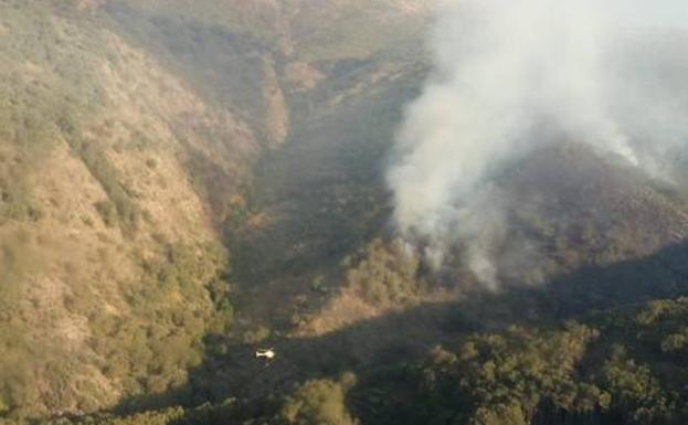 Medios aéreos intervienen para controlar el incendio.