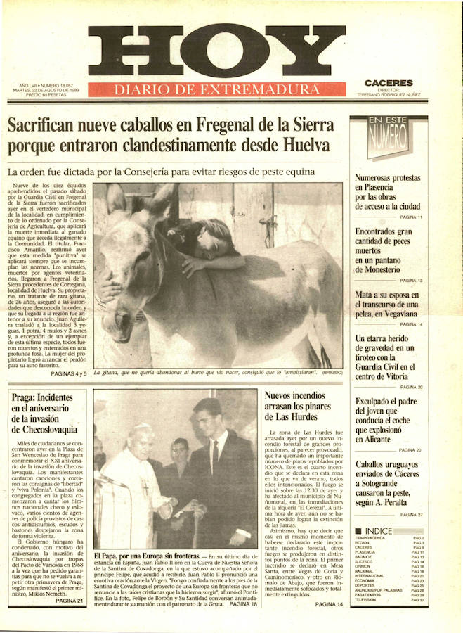 Sacrifican nueve caballos en Fregenal de la Sierra. Habían entrado a los equinos clandestinamente por Huelva en 1989 y dieron fin a su vida para evitar riesgos de peste equina, y como medida punitiva para los responsables