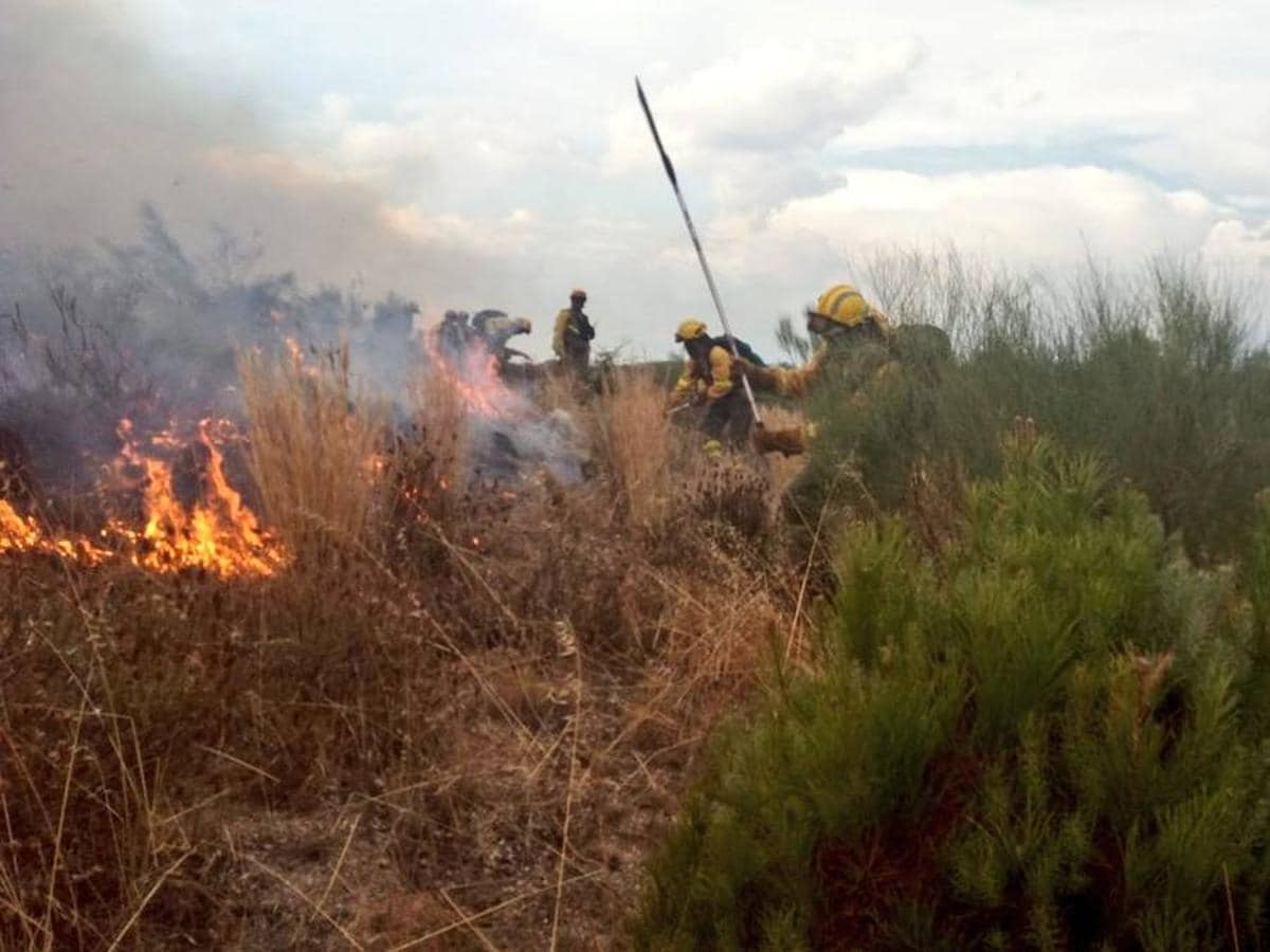 Fotos: Los agentes actuando para apagar el incendio que ha afectado a Mata de Alcántara