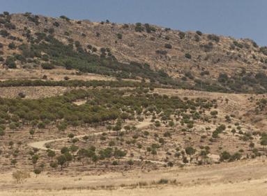 Imagen secundaria 1 - De París a Badajoz para pescar lucios
