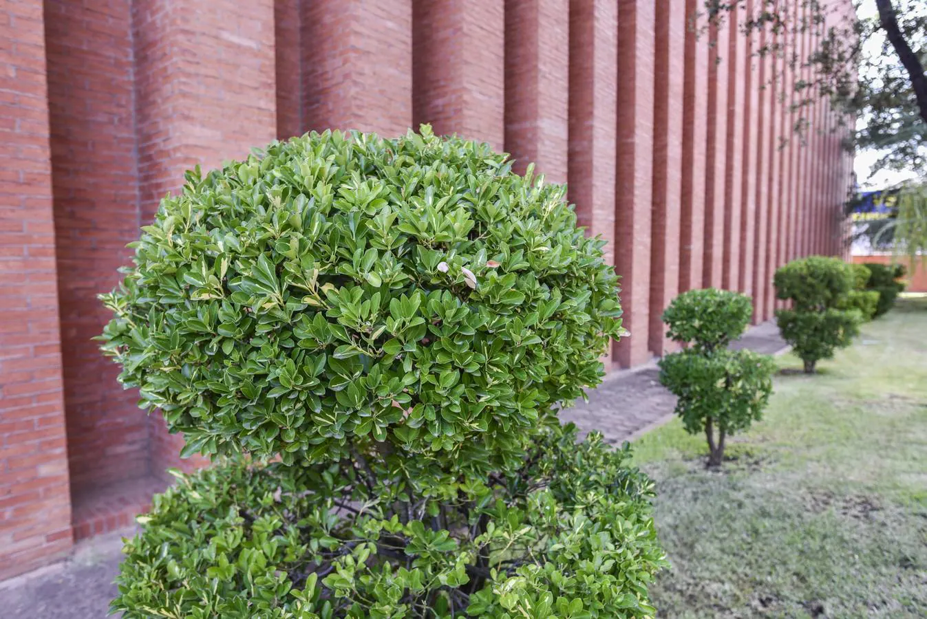 En este espacio se pueden ver más de veinte especies vegetales de todo el mundo