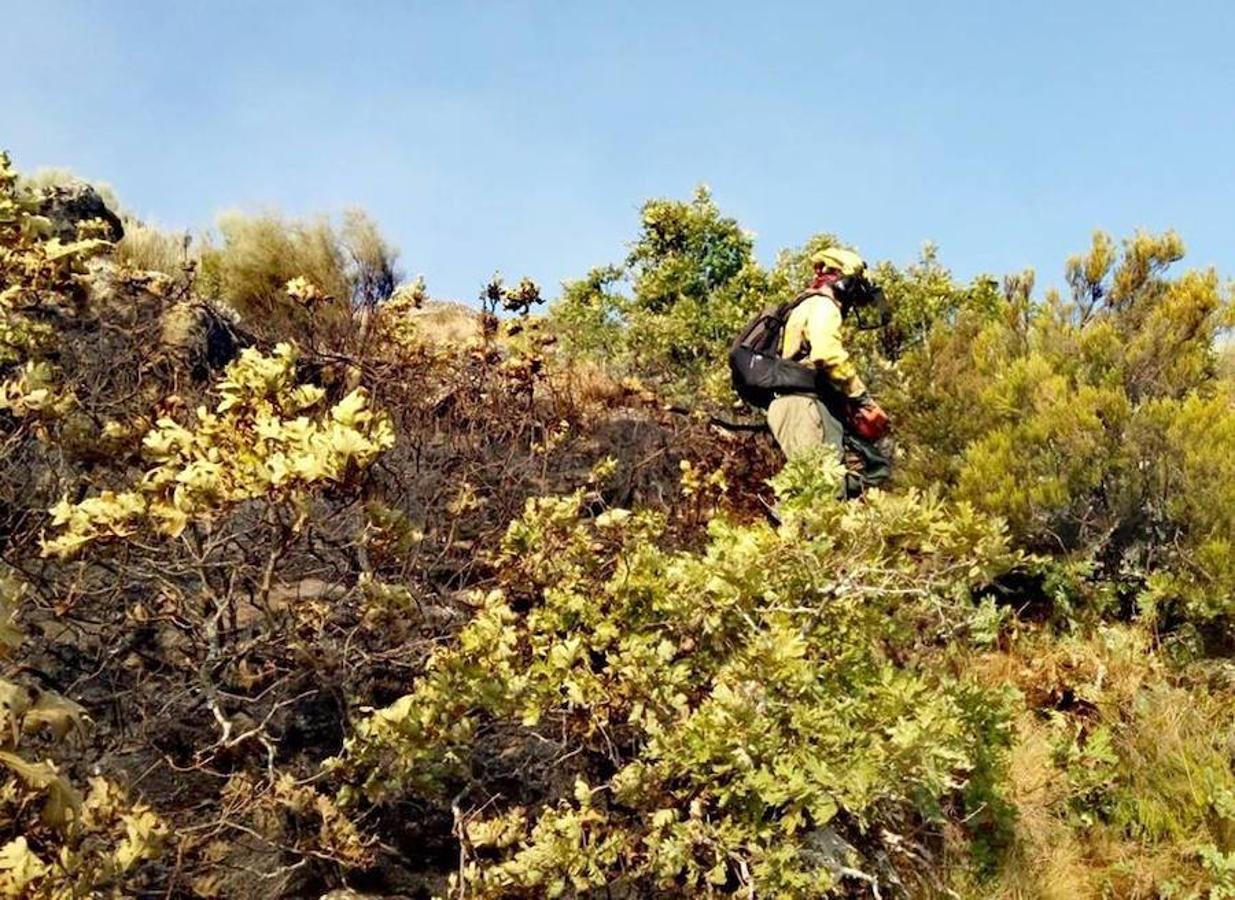 Fotos: El incendio declarado en Garganta la Olla, en imágenes