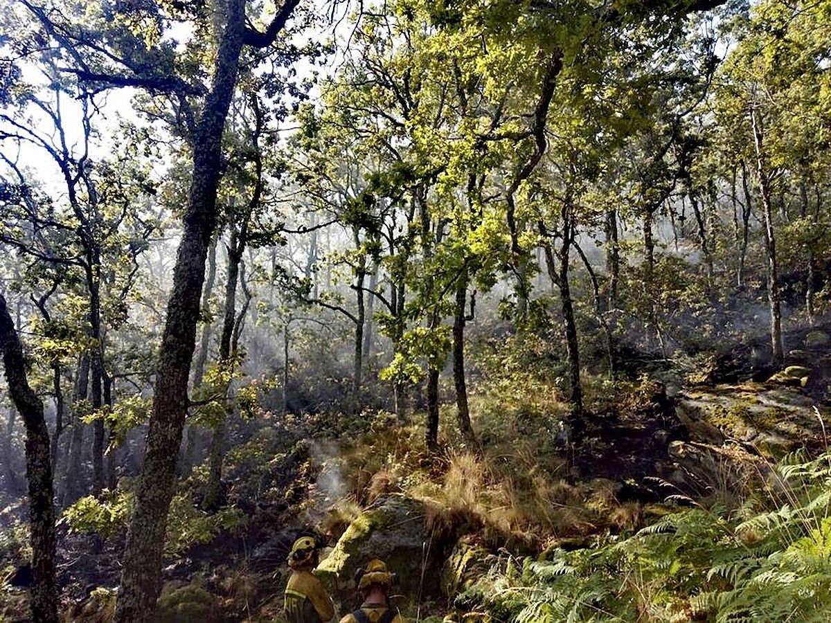 Fotos: El incendio declarado en Garganta la Olla, en imágenes