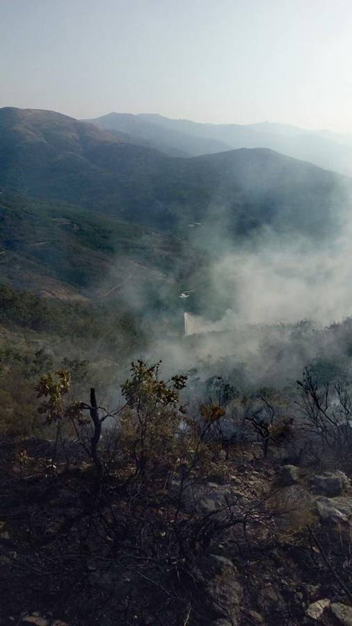 Fotos: El incendio declarado en Garganta la Olla, en imágenes
