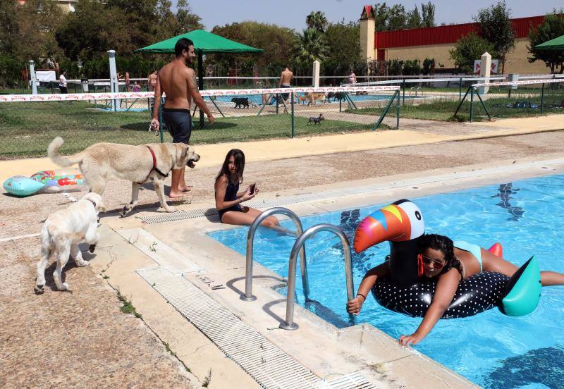 Esta iniciativa se ha desarrollado este sábado en la piscina de Nueva Ciudad