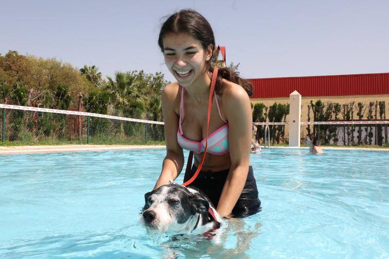 Esta iniciativa se ha desarrollado este sábado en la piscina de Nueva Ciudad