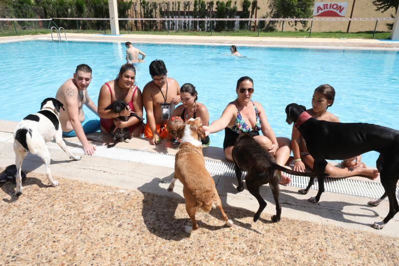 Esta iniciativa se ha desarrollado este sábado en la piscina de Nueva Ciudad