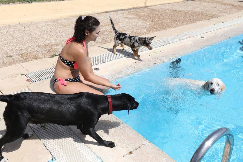 Esta iniciativa se ha desarrollado este sábado en la piscina de Nueva Ciudad