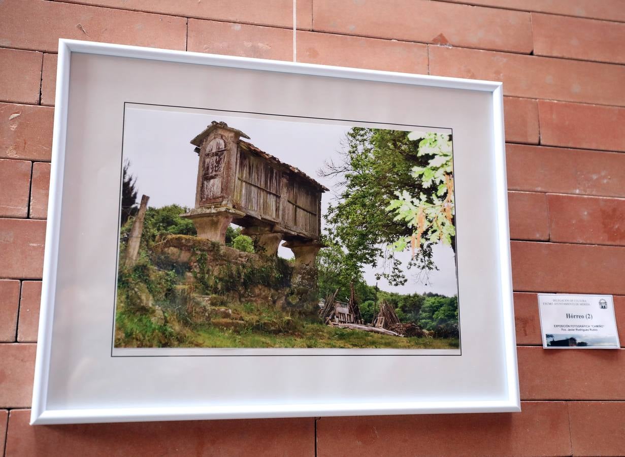 En el centro cultural Alcazaba de Mérida se puede visitar la exposición CAMINHO, del fotógrafo emeritense Francisco Javier Rodríguez. Es una colección 26 fotografías del Camino de Santiago, rutas y caminos. Hasta el 10 de septiembre se podrá disfrutar
