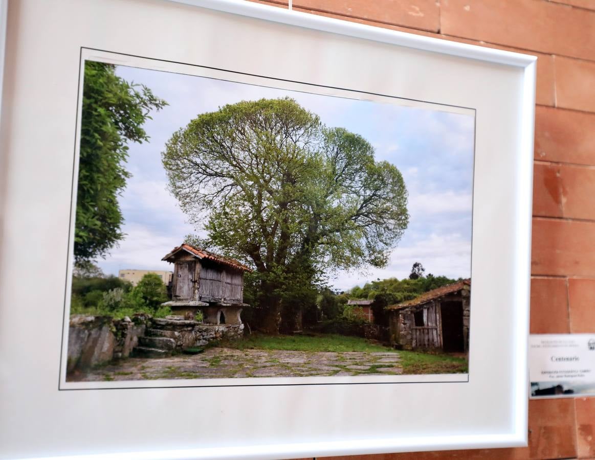 En el centro cultural Alcazaba de Mérida se puede visitar la exposición CAMINHO, del fotógrafo emeritense Francisco Javier Rodríguez. Es una colección 26 fotografías del Camino de Santiago, rutas y caminos. Hasta el 10 de septiembre se podrá disfrutar