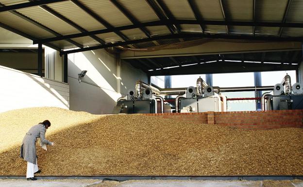 Pellets de biomasa en una industria cacereña. 