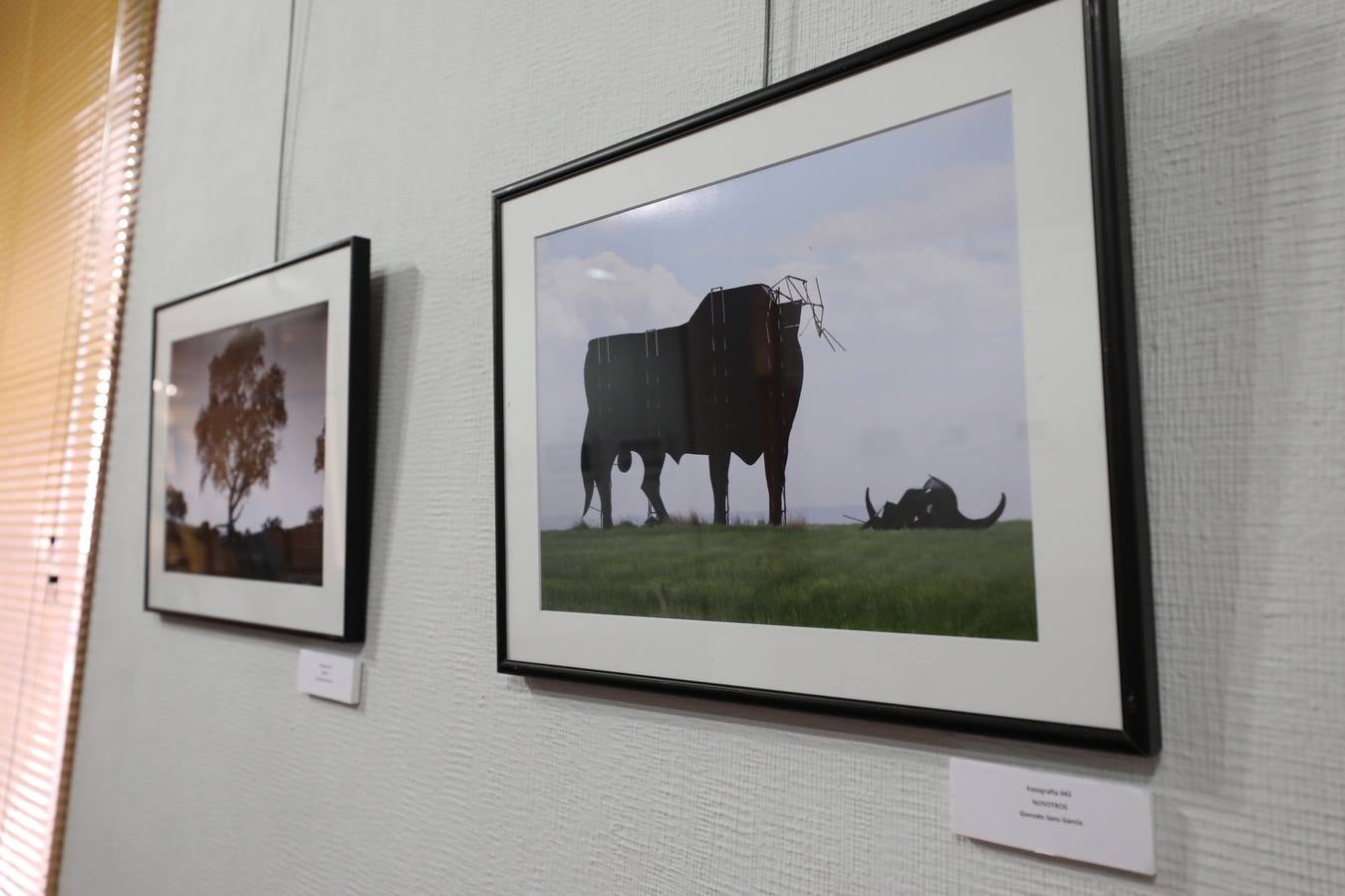 Exposición de los «Premios JABA 2018» organizados por el Ayuntamiento de Badajoz y que estarán expuestos en el Centro Cultural «Santo Domingo» de la Fundación CB en Mérida. Se puede visitar 12 de septiembre al 7 de octubre en horario de lunes a sábado, de 10 a 13.30h., y de 18 a 21h. Domingos, de 10 a 13.30h.