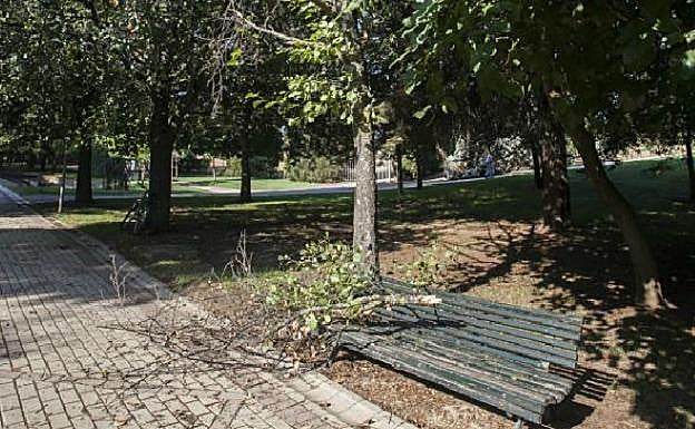 Rama caída el viernes en el parque del Príncipe de Cáceres::HOY